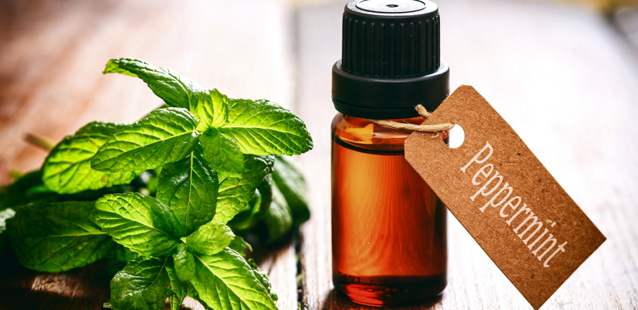 Benefits of Peppermint Oil for Hair